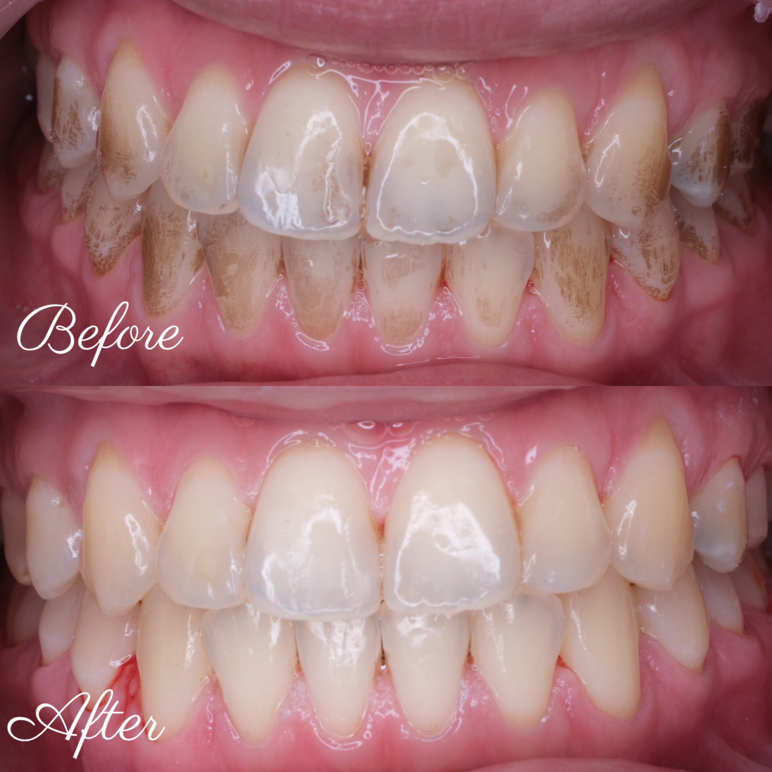 created by photogrid